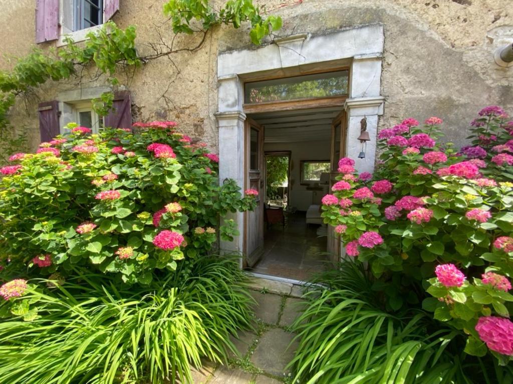 Maison D'Hotes-Maison Castaings Lucq-de-Béarn Exterior photo